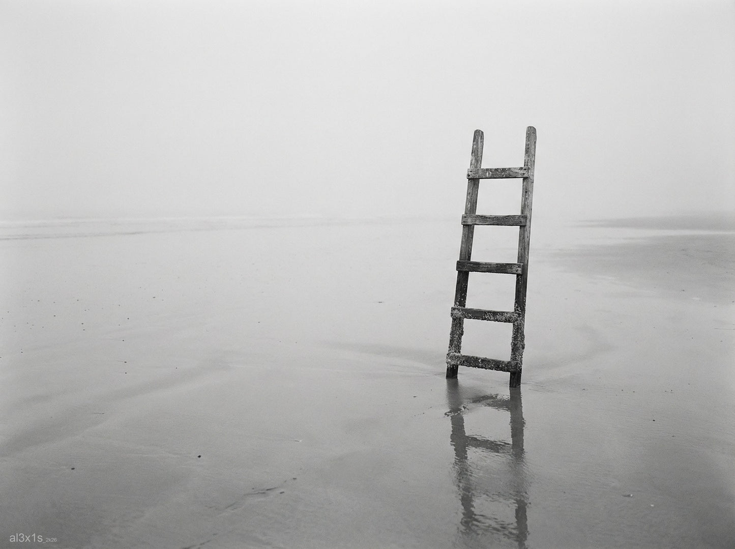 Série I — 081