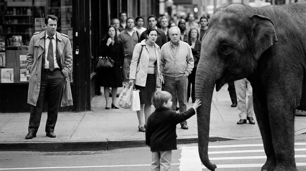 Un elephant dans la ville